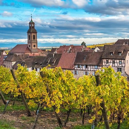 Gite "Le Piemont Des Vosges " Stotzheim Exterior foto