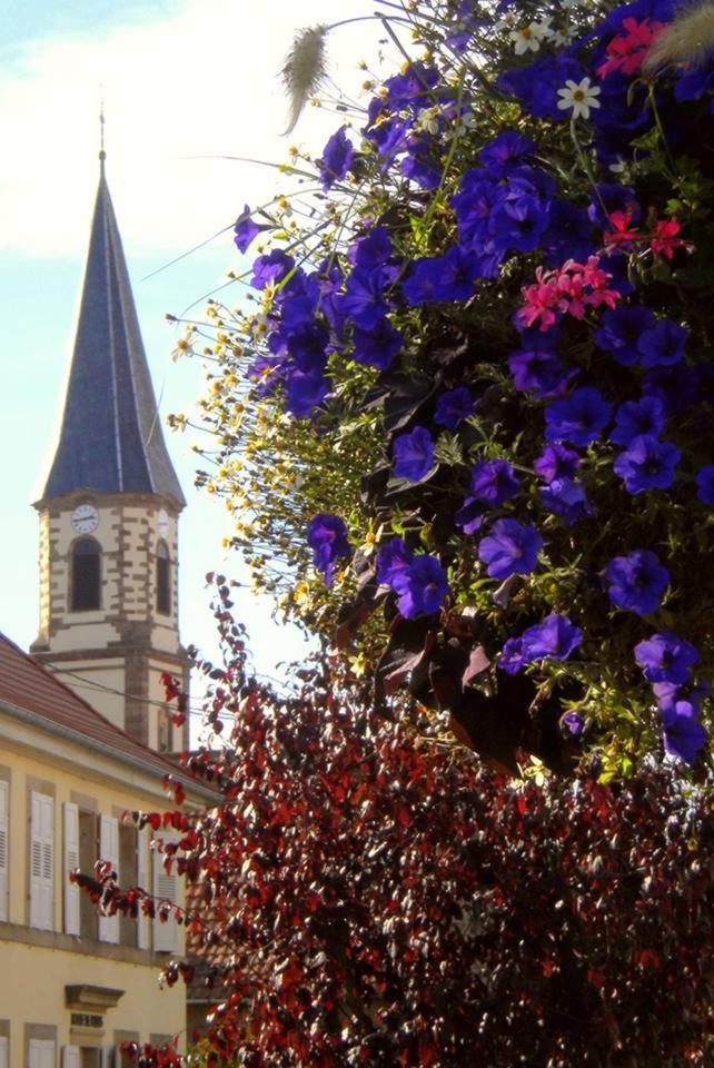 Gite "Le Piemont Des Vosges " Stotzheim Exterior foto