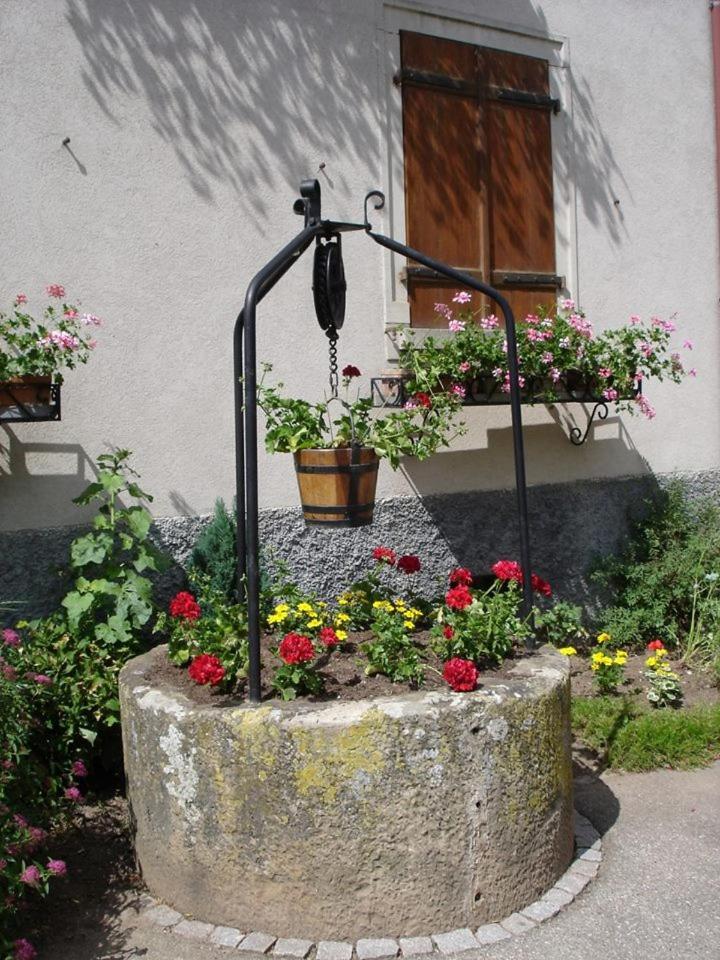 Gite "Le Piemont Des Vosges " Stotzheim Exterior foto