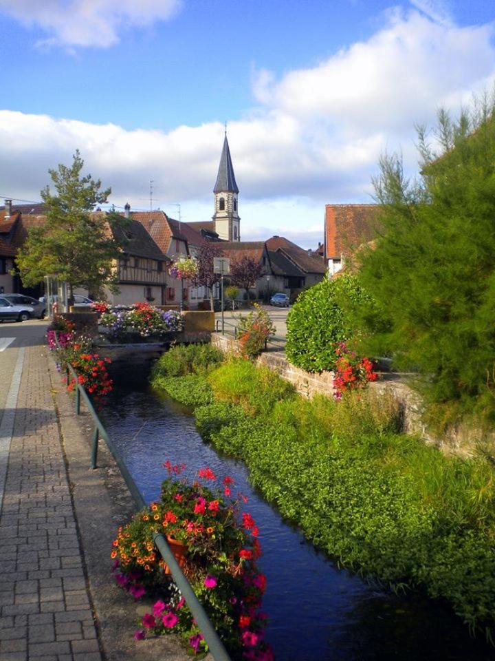 Gite "Le Piemont Des Vosges " Stotzheim Exterior foto