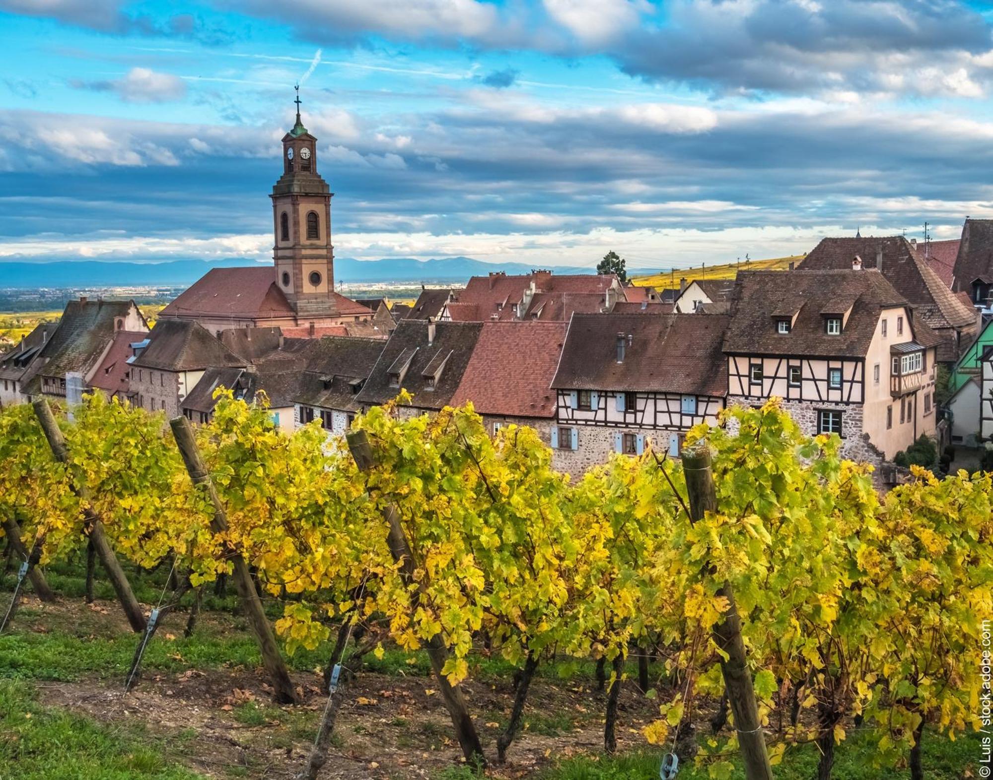 Gite "Le Piemont Des Vosges " Stotzheim Exterior foto