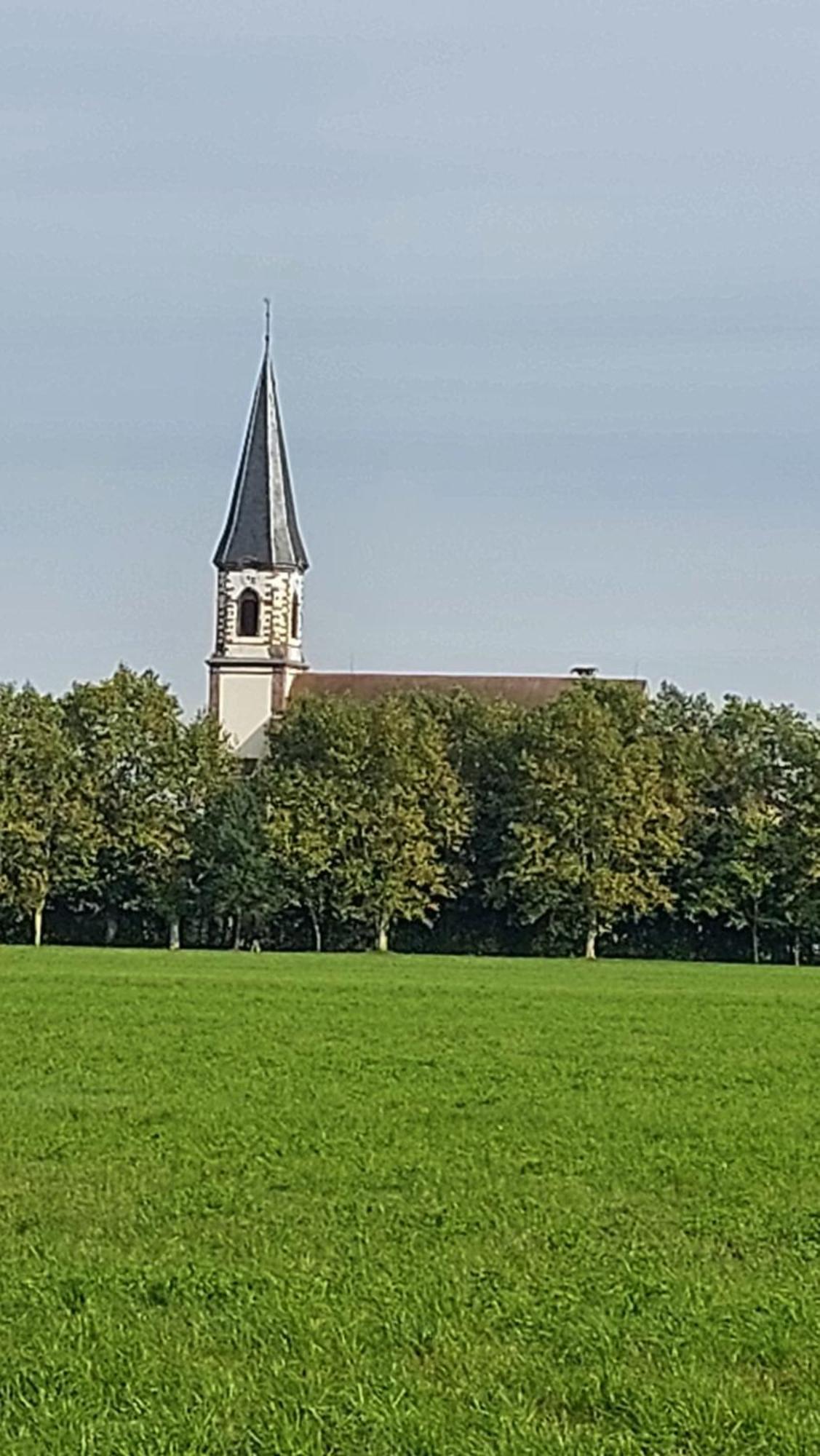 Gite "Le Piemont Des Vosges " Stotzheim Exterior foto