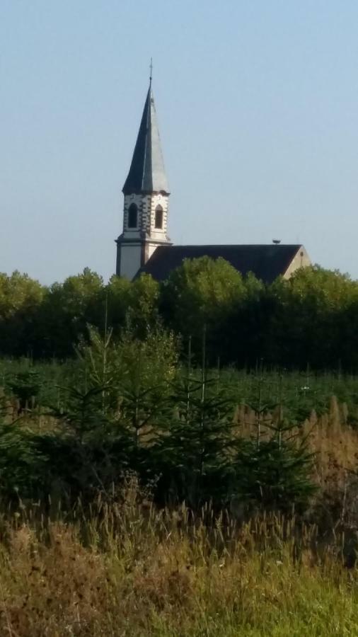 Gite "Le Piemont Des Vosges " Stotzheim Exterior foto
