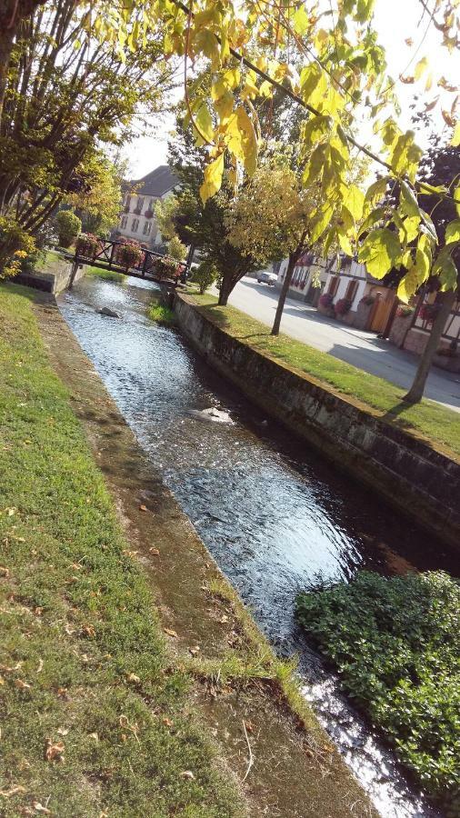 Gite "Le Piemont Des Vosges " Stotzheim Exterior foto